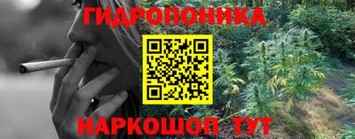 гашик Краснознаменск