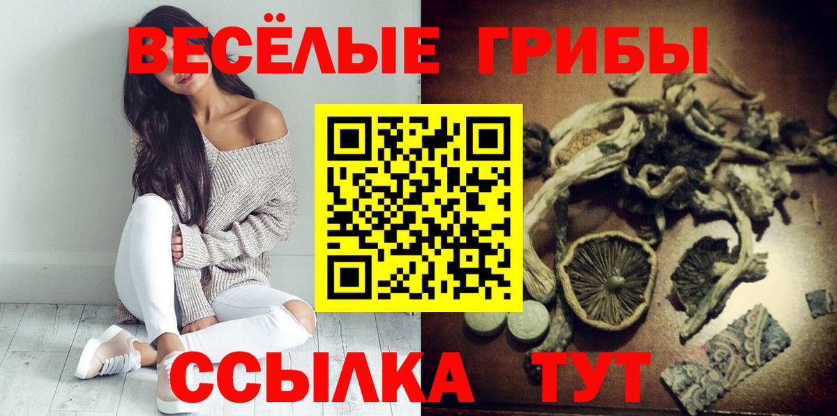 Псилоцибиновые грибы прущие грибы  Вход с VPN  Клинцы 
